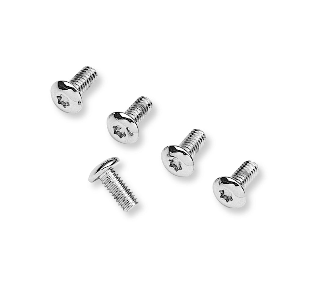 Harley-Davidson Timer Cover Screw Kit Chrome