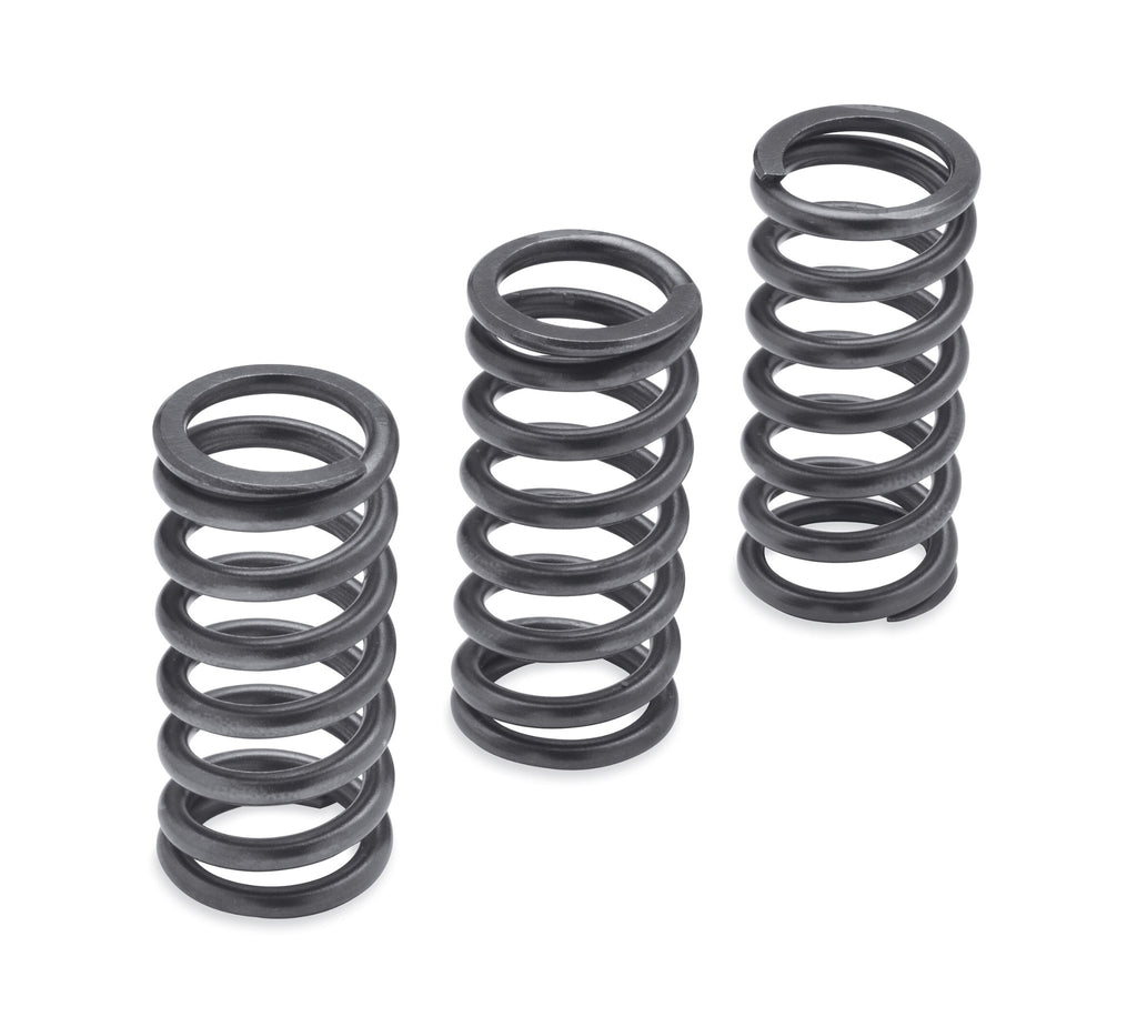 Harley-Davidson Milwaukee-Eight Engine Clutch Springs 1275N
