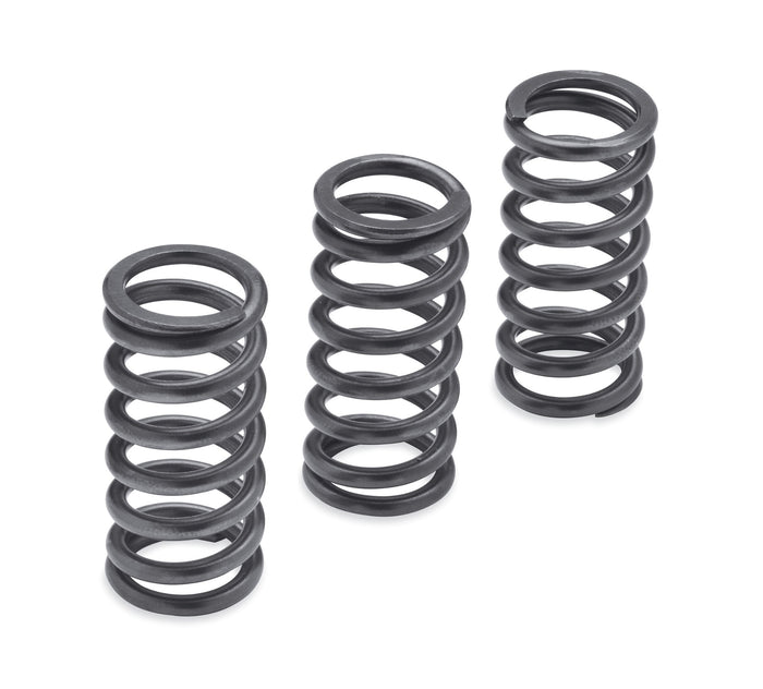 Harley-Davidson Milwaukee-Eight Engine Clutch Springs 1275N