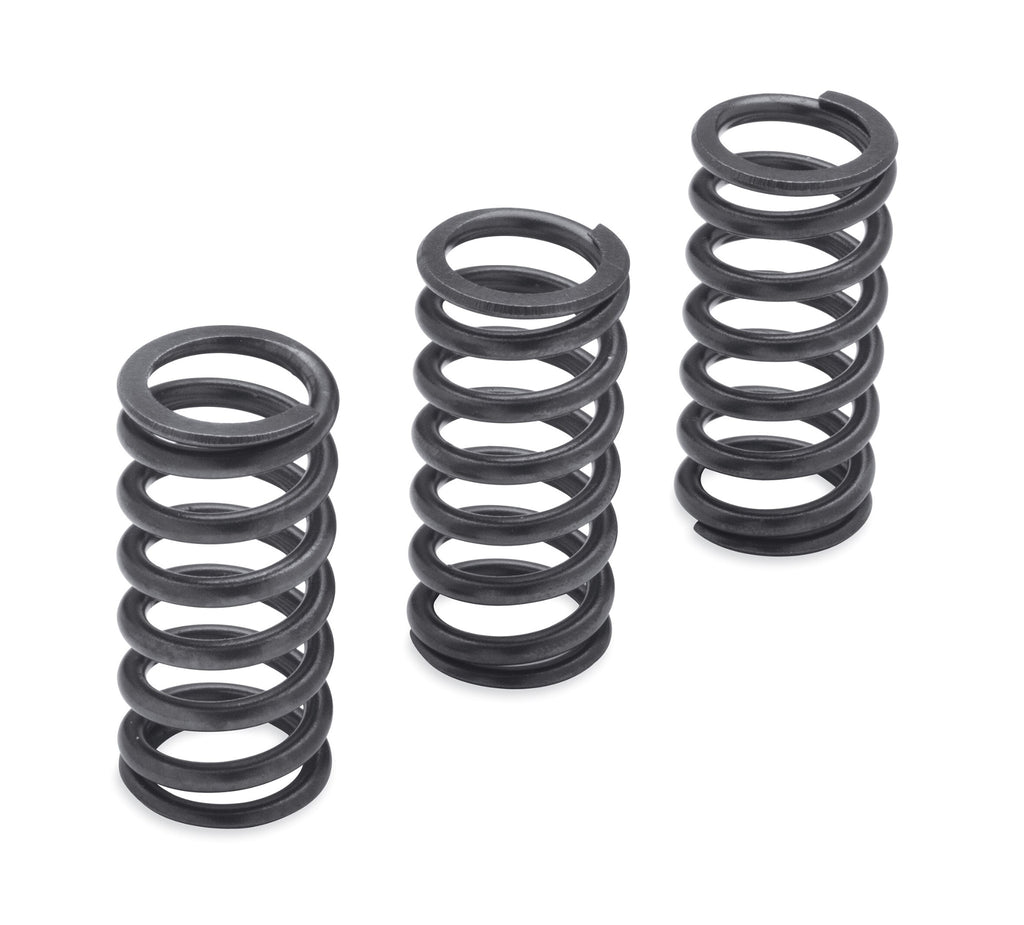 Harley-Davidson Milwaukee-Eight Engine Clutch Springs 1200N