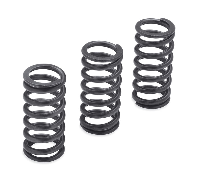 Harley-Davidson Milwaukee-Eight Engine Clutch Springs 1200N