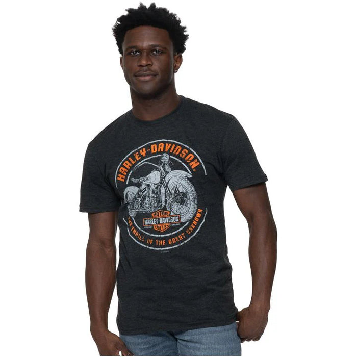 Harley-Davidson Thrills vintage short sleeve T-shirt - dealer