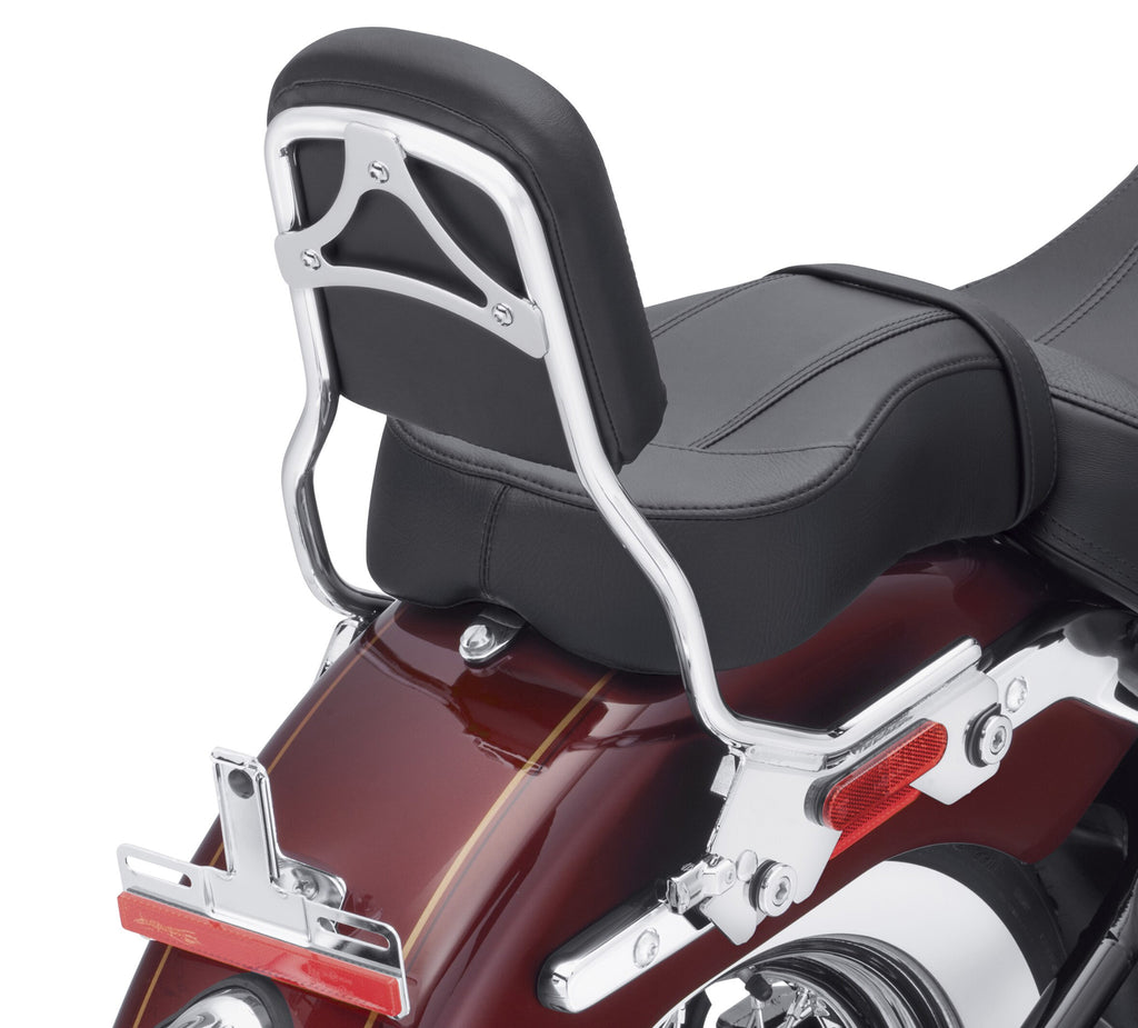 Harley-Davidson HoldFast Sissy Bar Upright Standard Height Chrome