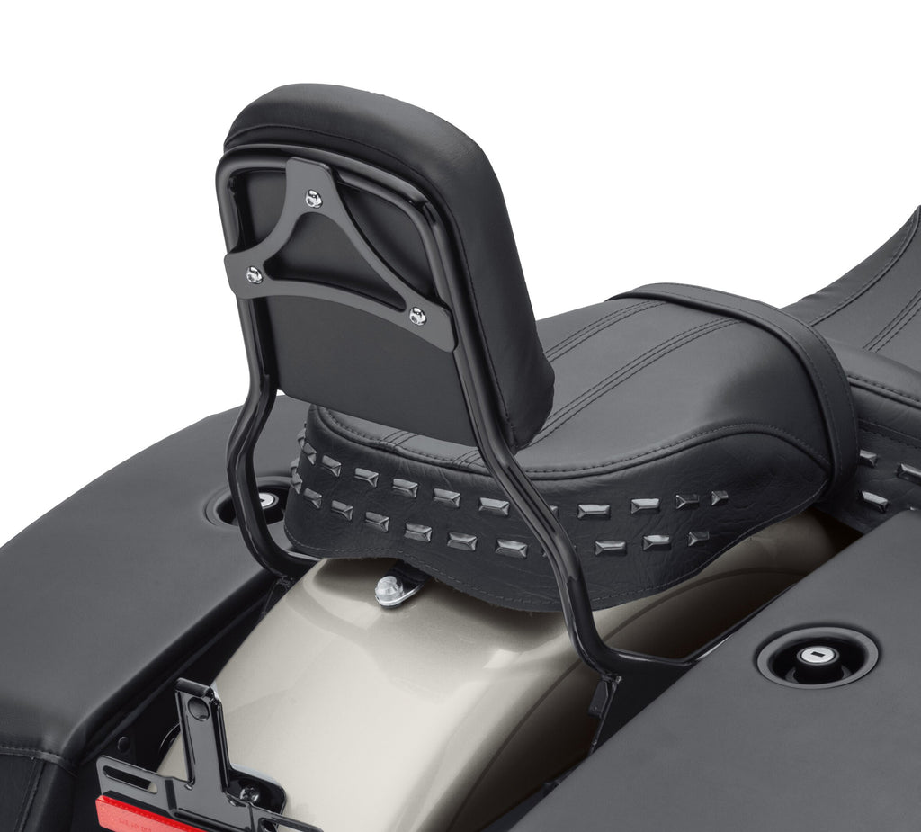 Harley-Davidson HoldFast Sissy Bar Upright Standard Height Gloss Black