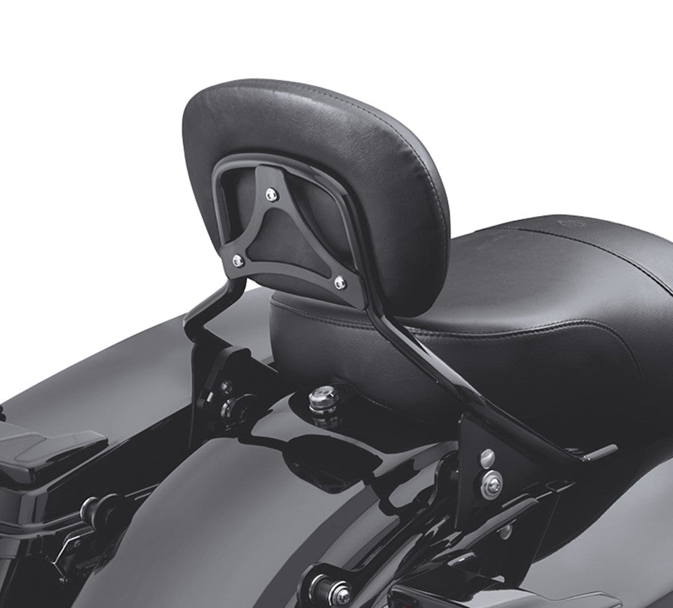 H-D Detachables Sissy Bar Upright