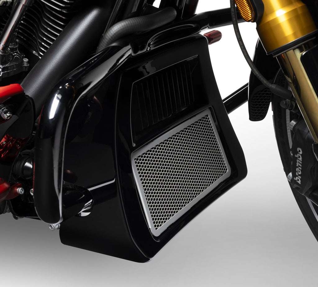 Harley-Davidson Center-Cooled Milwaukee-Eight Radiator Guard
