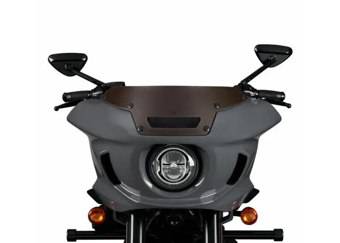 HARLEY-DAVIDSON ST WIND DEFLECTOR