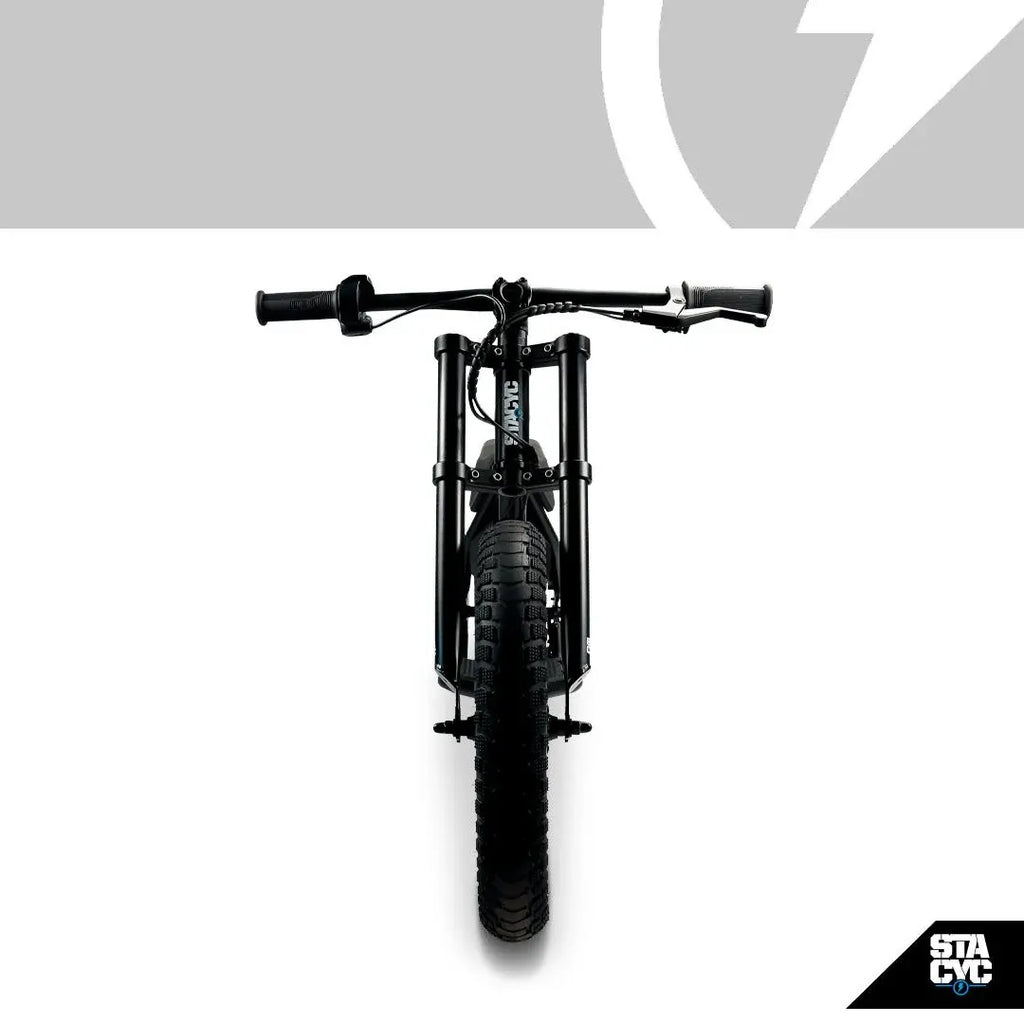 STACYC 16HDrive E-Balance Bike 18V 16Hub ST100111